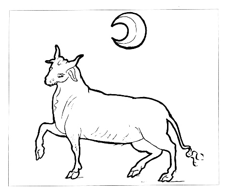 plate_48_scan
