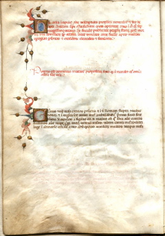 vat16