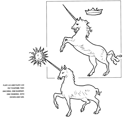 plate_40+43_scan