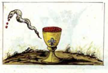 plate_56_web