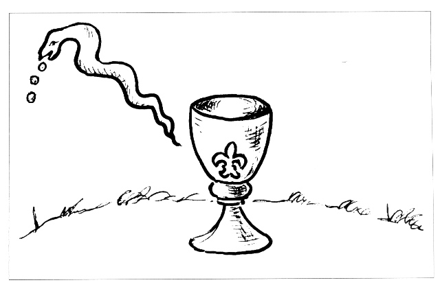 plate_56_scan