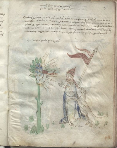 image006