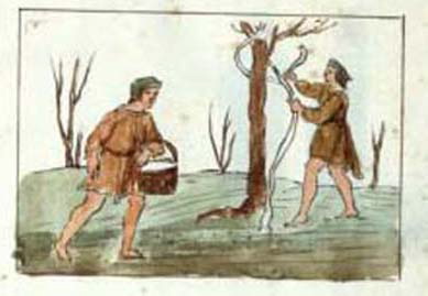 plate_81_web